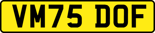 VM75DOF