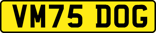 VM75DOG