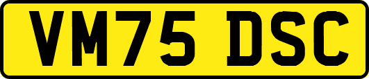 VM75DSC