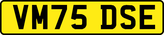 VM75DSE