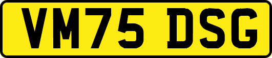 VM75DSG