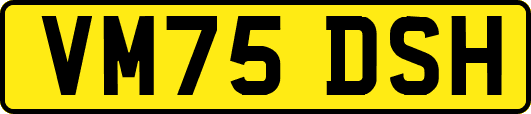 VM75DSH