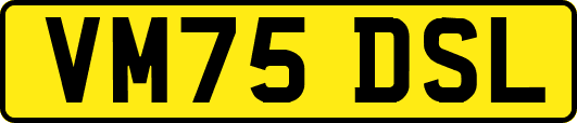 VM75DSL