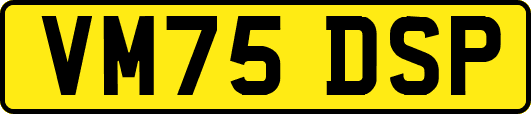 VM75DSP