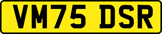 VM75DSR
