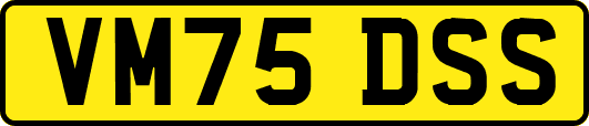 VM75DSS