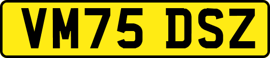 VM75DSZ