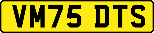 VM75DTS
