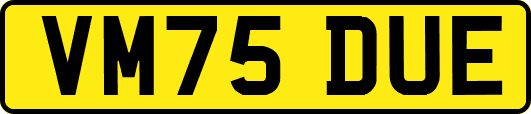 VM75DUE