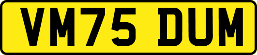 VM75DUM