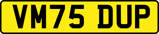 VM75DUP