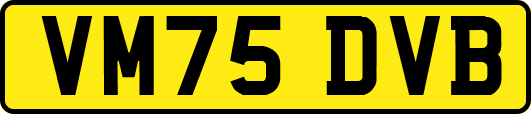 VM75DVB