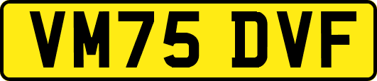 VM75DVF