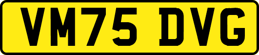VM75DVG