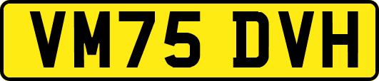 VM75DVH