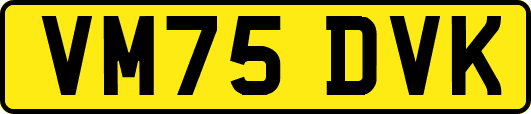 VM75DVK