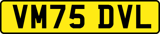 VM75DVL