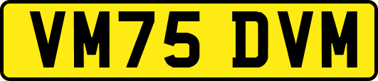 VM75DVM