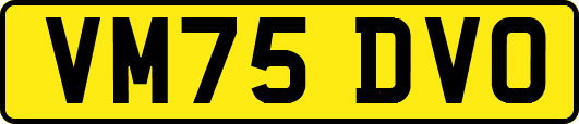 VM75DVO