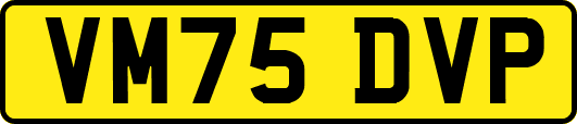 VM75DVP