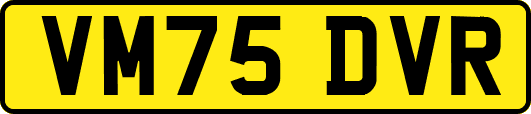 VM75DVR