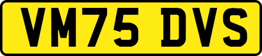 VM75DVS