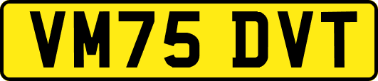VM75DVT