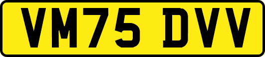 VM75DVV