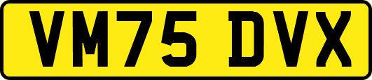 VM75DVX