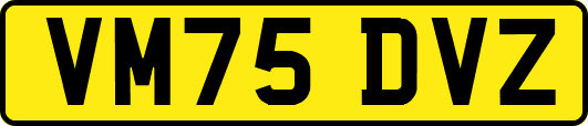 VM75DVZ
