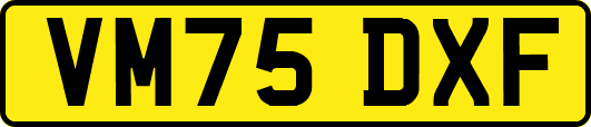 VM75DXF