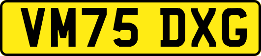 VM75DXG