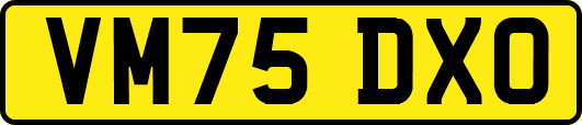 VM75DXO