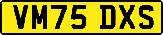 VM75DXS