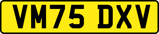 VM75DXV