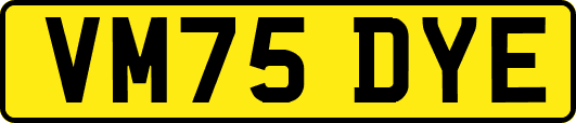 VM75DYE