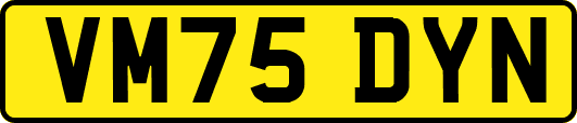 VM75DYN