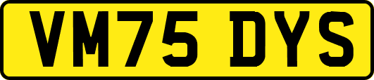 VM75DYS