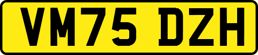 VM75DZH
