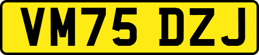 VM75DZJ