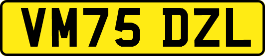 VM75DZL
