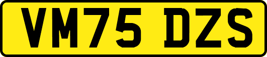 VM75DZS