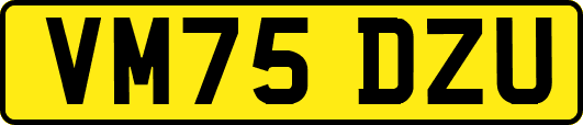 VM75DZU