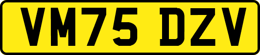 VM75DZV
