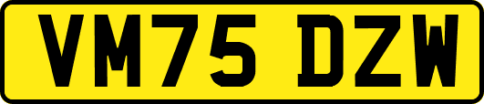 VM75DZW