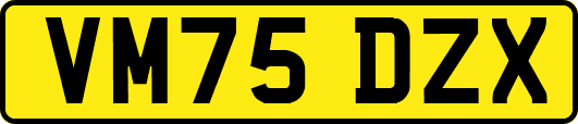 VM75DZX