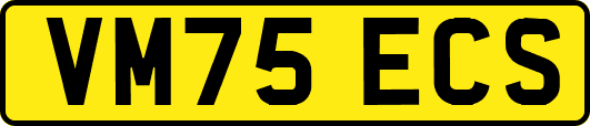 VM75ECS