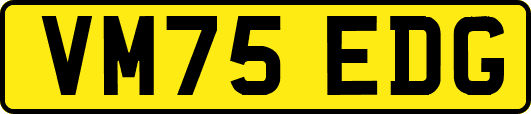 VM75EDG