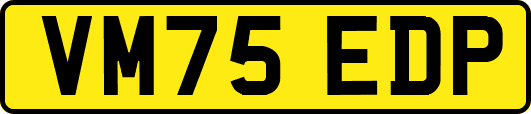 VM75EDP