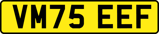 VM75EEF